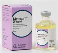 Assessing the efficacy of ketoprofen and meloxicam when mixed with iron dextran on pain relief following castration in piglets